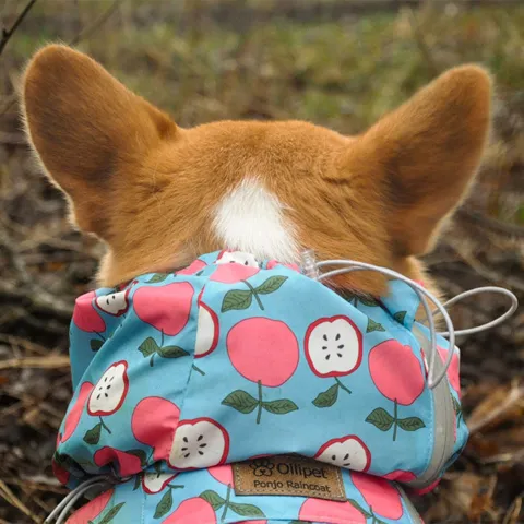 Ollipet Ponjo Regndragt | OUTLET