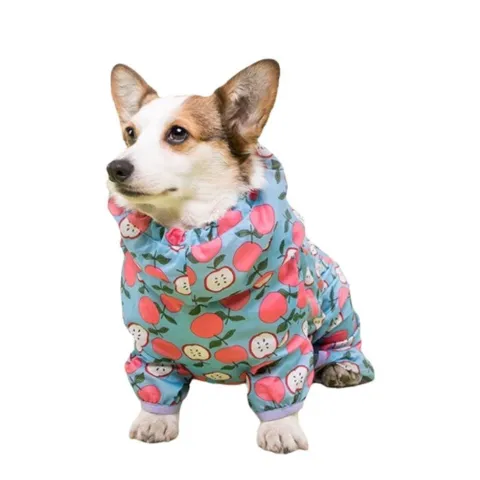 Ollipet Ponjo Regndragt | OUTLET