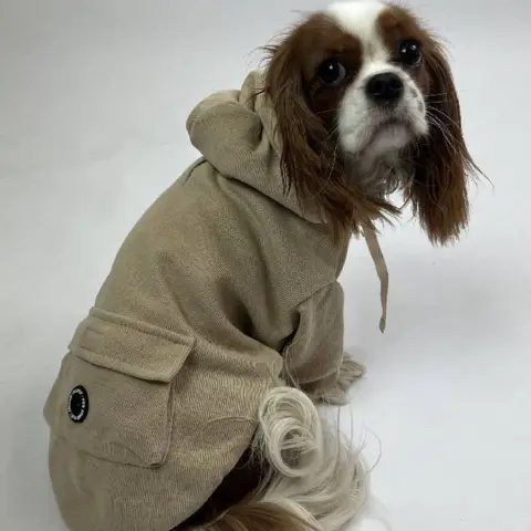 Ollipet Buddy Hoodie | Sand