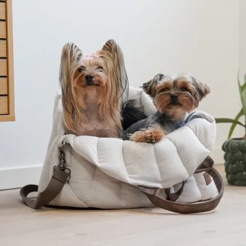 Ollipet Paris City Bag 3i1