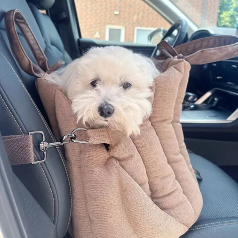 Ollipet Paris City Bag 3i1