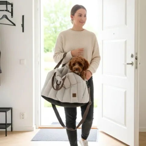 Ollipet Paris City Bag 3i1