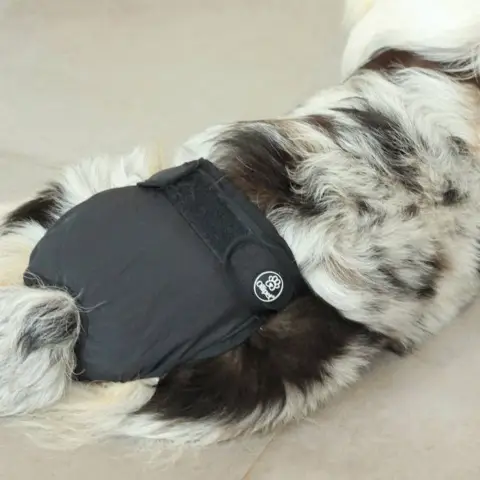 Ollipet Løbetidsbukser giver en god komfort for din hund