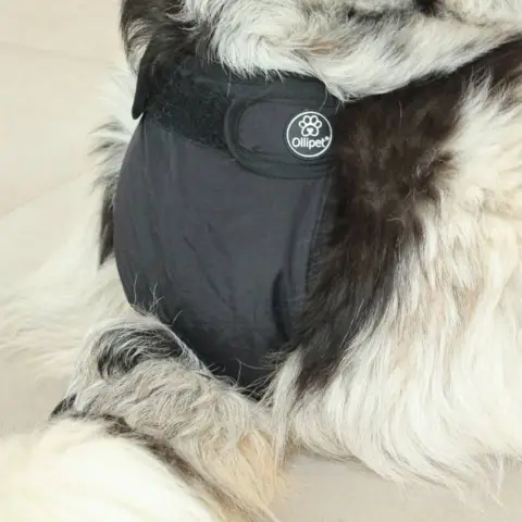 Ollipet Løbetidsbukser har en god pasform. Passer til alt fra labrador til fransk bulldog