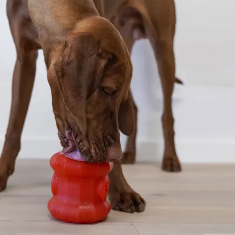 Starmark Everlasting Treat Fireplug