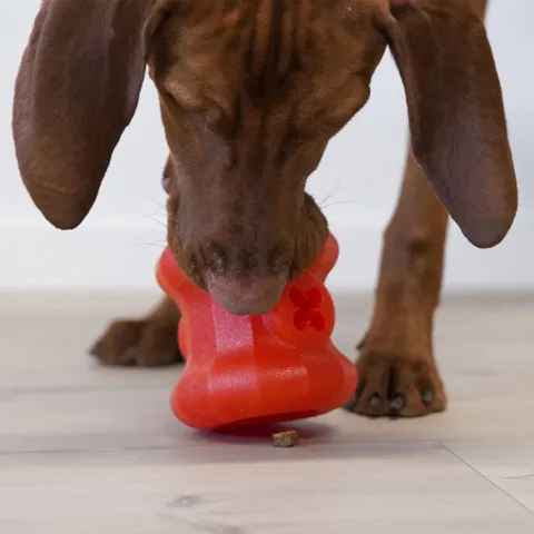 Starmark Everlasting Treat Fireplug
