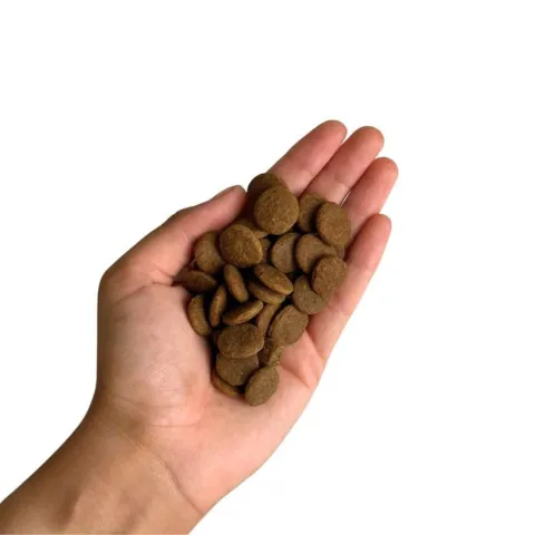 Carnilove True Fresh Beef med frisk kød i hånden