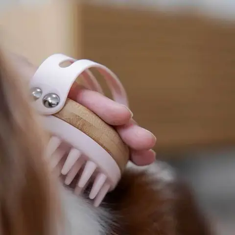 Ollipet massagebørste m. gummipigge