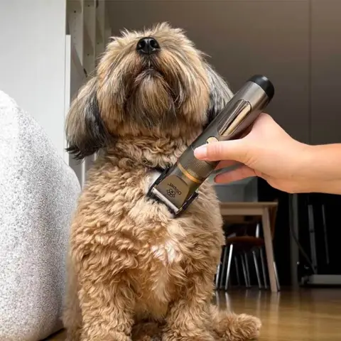 Ollipet Cool Clipper er en klippemaskine til hunde. Kan med fordel bruges til bamseklip.