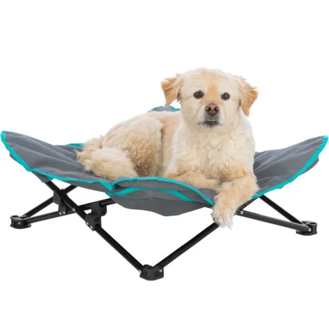 Campingseng til hunde