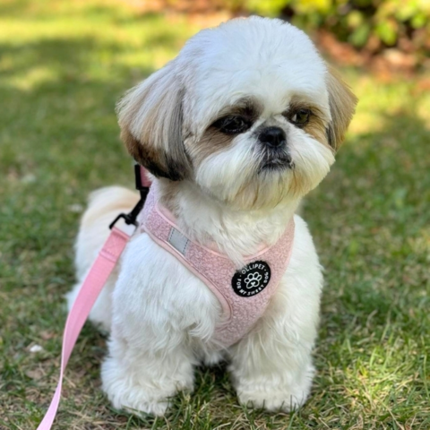 Ollipet Teddy Step-in hundesele | Lyserød