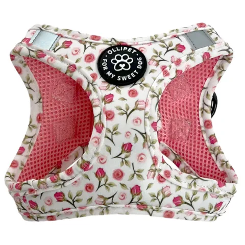 Ollipet hundesele Tulipaner