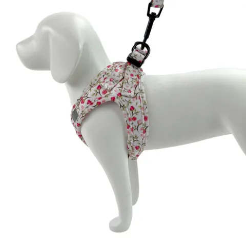 Ollipet hundesele Tulipaner