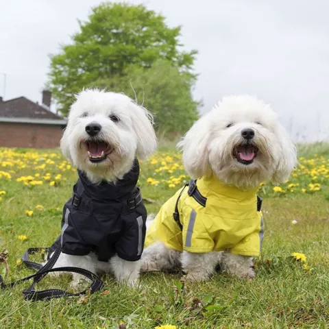 Ollipet Aqua Explorer Regnjakke med sele