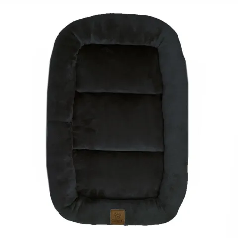 Ollipet Kaya Wellness Madras