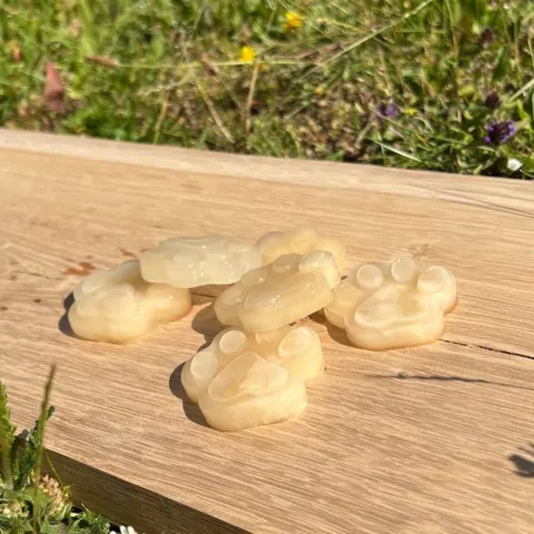 Lav dine egne hundeis med Monster Dog Bone Broth