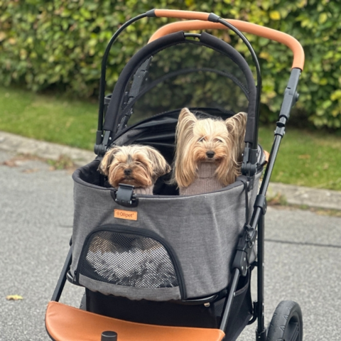 Ollipet Hundeklapvogn Firenze
