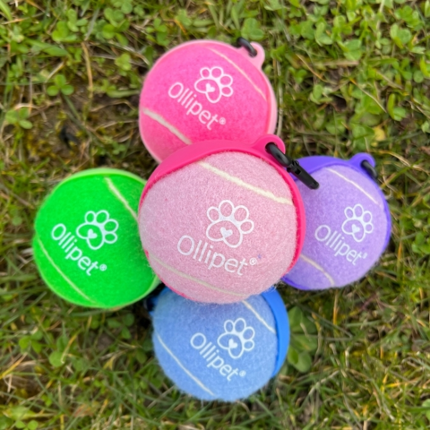Ollipet Spring Ball med holder