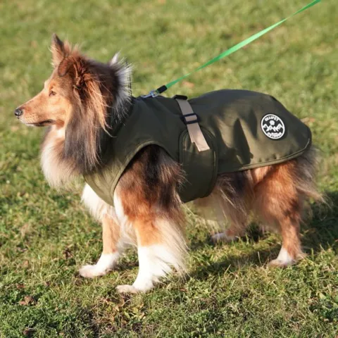 Ollipet Hunting Outdoor Vinterdækken