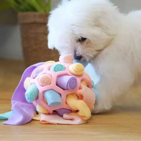 Denne sjove bold er det perfekte aktivitetslegetøj til både hvalpe og vokse hunde - Her er Coton hvalpen Molly på 13 uger