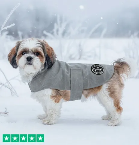 Ollipet Outdoor Windbreaker