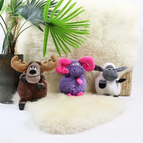 KONG Sherps Floofs I her med resten af "Konge Sherps familien"