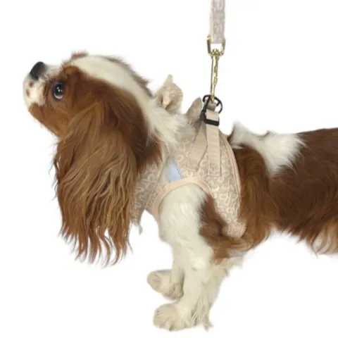 Ollipet Flora Step-in hundesele