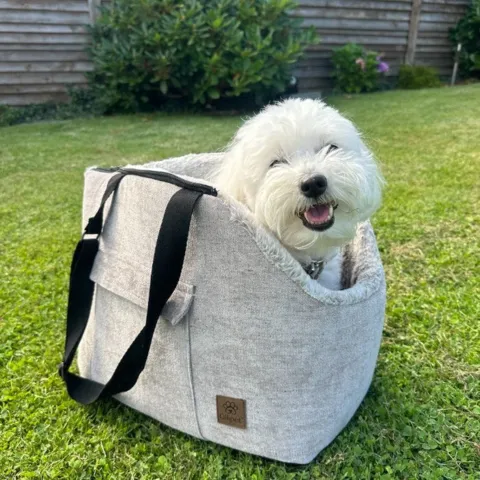 Ollipet Stockholm City Bag