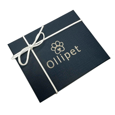 Ollipet træfigur | Rainbow bridge