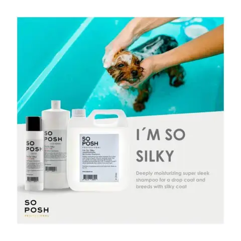 So Posh Professional I'm So Silky Shampoo