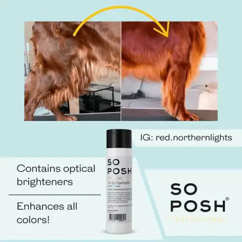 Før efter vask med So Posh I'm So Fantastic Shampoo