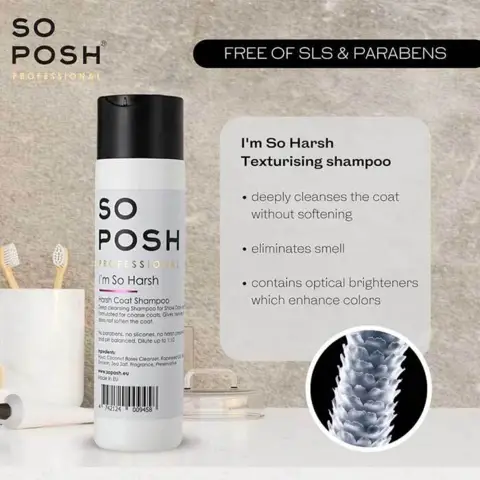 So Posh Professional I'm So Harsh Shampoo | 250 ml