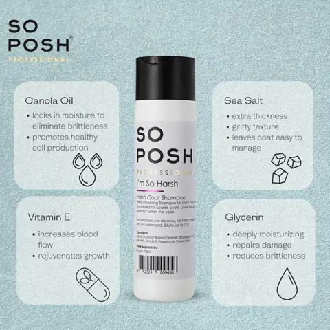 So Posh Professional I'm So Harsh Shampoo | 250 ml