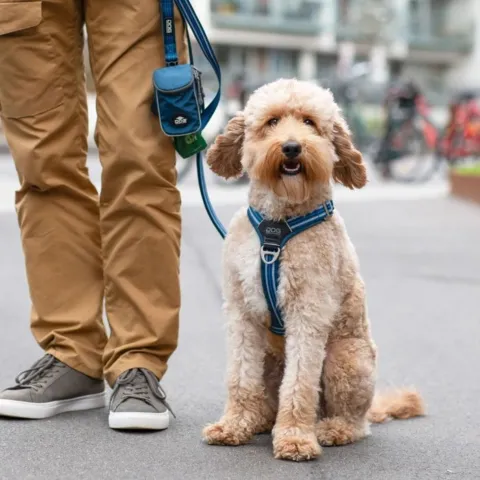 DOG Copenhagen Pouch Organizer™ Leash Bag