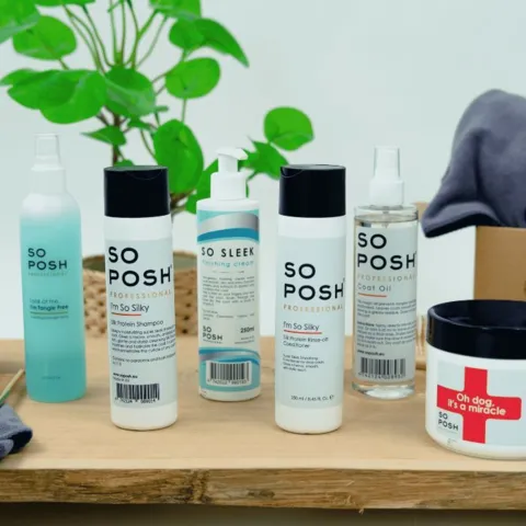 Pakketilbud | So Posh I'm So Silky Professional hundeudstillingssæt