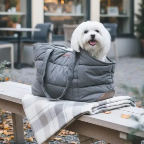 Ollipet Aalborg bæretaske