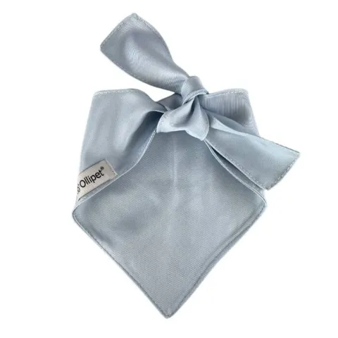Ollipet "Big brother/sister" Bandana