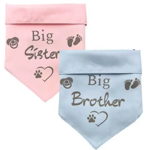 Ollipet "Big brother/sister" Bandana