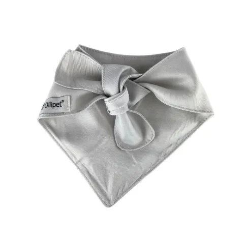 Ollipet "My parents are getting me a little baby" bandana