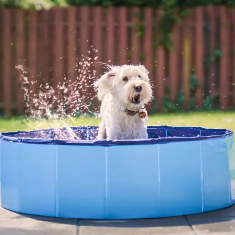 Active Canis Dog Pool | 100X30 cm