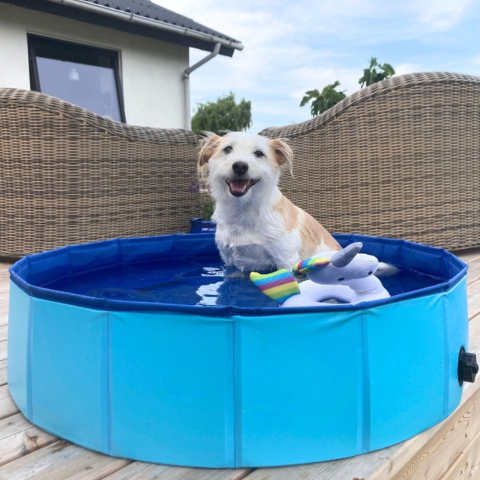 Active Canis Dog Pool | 100X30 cm