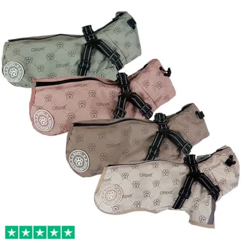 Ollipet Aqua Explorer De Luxe  Regnjakke | Med Sele