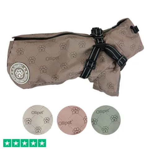 Ollipet Aqua Explorer De Luxe  Regnjakke | Med Sele
