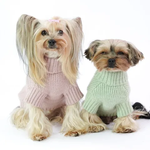 Hold din hund varm med en hundesweater fra Ollipet