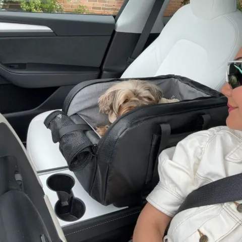 Smart autostol til din hund