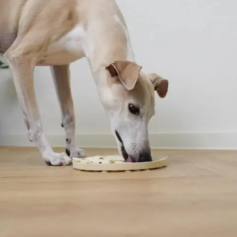 Slikkemåtte til hunde - sjov og beroligende aktivering
