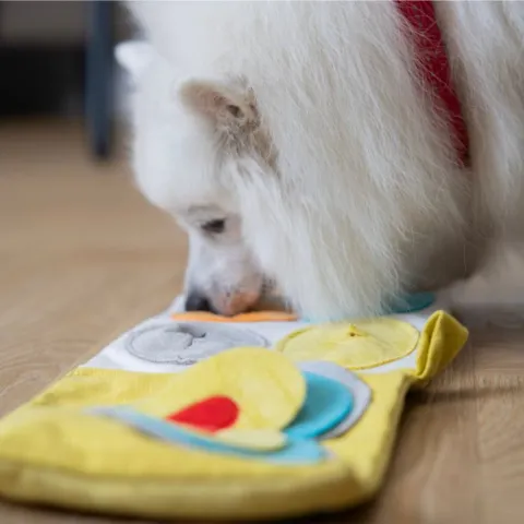 Lad hunden snuse sig frem til godbidderne med denne aktivitetsbog