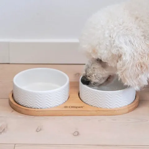 Pakketilbud | Trixie Skålesæt med Ollipet Bambusholder til små hunde