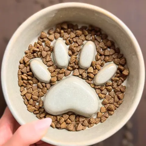 Ollipet Slow Feeder er det perfekte valg til hunde der spiser for hurtigt