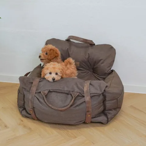 Ollipet Karma Deluxe Autokurv 2i1